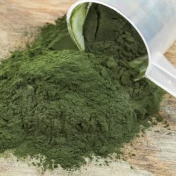 greens powder green supplements